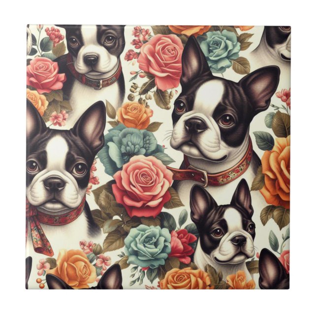 Ilustração Cute Boston Terrier (Frente)