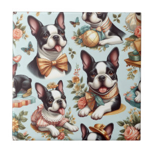 Ilustração Cute Vintage de Boston Terrier