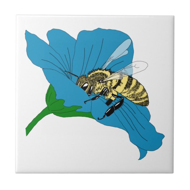 Ilustração da Flor Azul das Abelhas de mel (Frente)