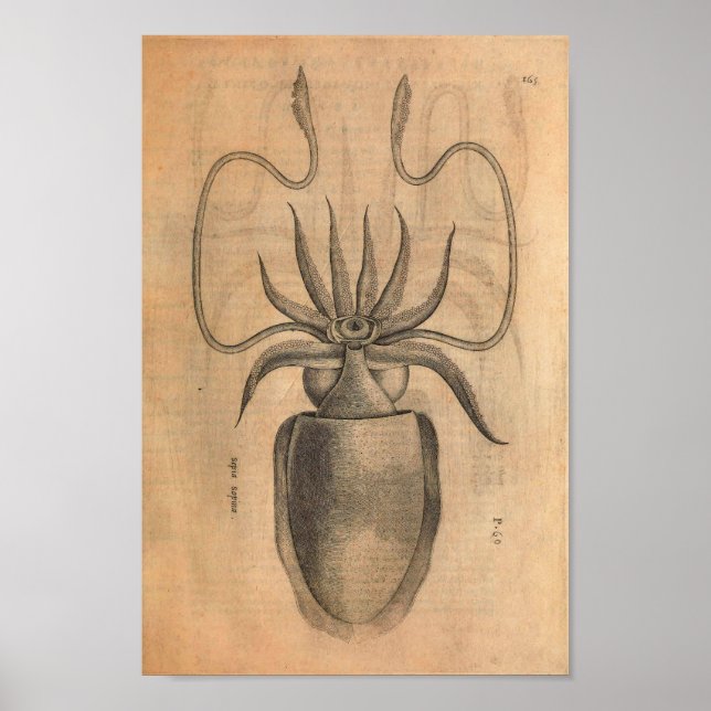 Ilustração da vida no mar de Impressão de arte em  (Frente)