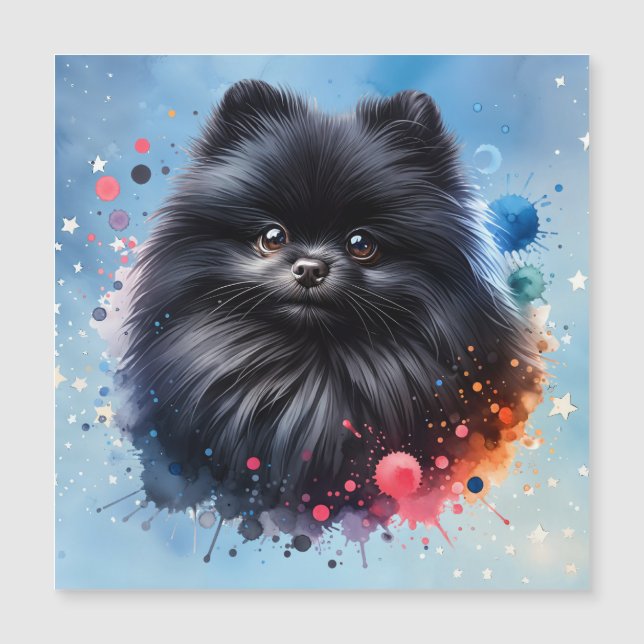 Ilustração de aquarela pomeraniana preta (Frente)