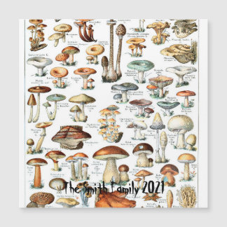 Ilustração de Arte de Gráfico de Mushroom Vintage