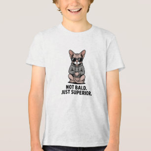 Ilustração de Atitude de Gato Sphynx Superior