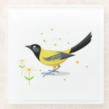 Ilustração de aves - Cores de Verão