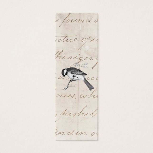 Ilustração de aves de música vinda - texto de aves (Frente)
