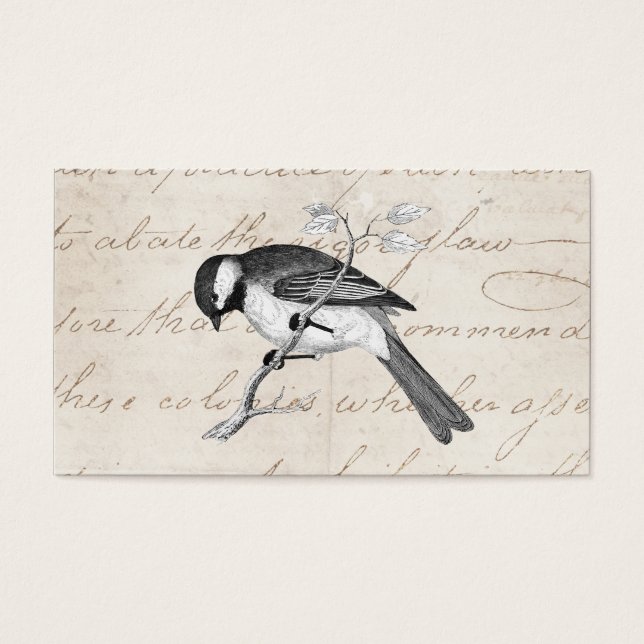 Ilustração de aves de música vinda - texto de aves (Frente)