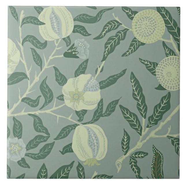 Ilustração de colheita de frutas ou romã (Frente)