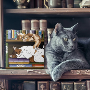 Ilustração de Estante de Livros de Gatos Adormecid
