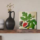 Ilustração de fig de safra<br><div class="desc">Apresentando nossa ilustração de fig da safra, com frutas maduras e lúcidas enfeitadas com folhas verdes vibrantes. Esta bela trabalho de arte capta a essência do Mediterrâneo, trazendo uma sensação quente e convidativa para qualquer espaço. A ilustração é impressa meticulosamente em um azulejo cerâmico de alta qualidade, fazer-o como uma...</div>