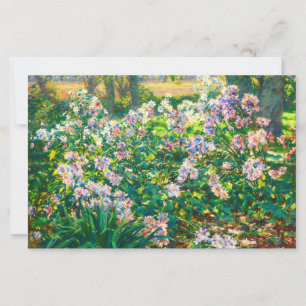 Ilustração de flores bonitas vintage Windflowers