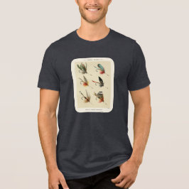 Ilustração de Mosca de Lago Vintage