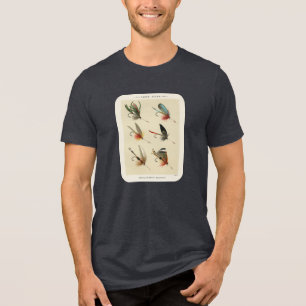 Ilustração de Mosca de Lago Vintage