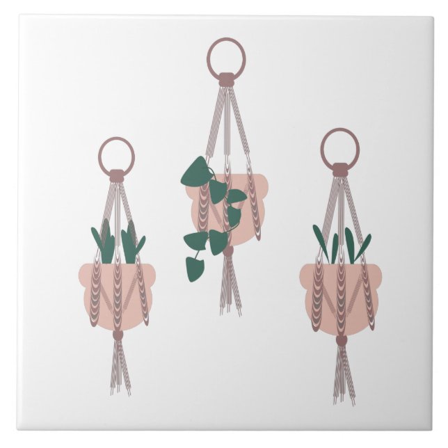Ilustração de Plantas em Macrame para Vasos e Pote (Frente)
