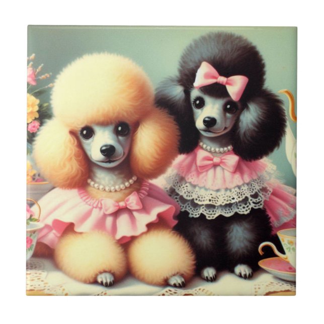 Ilustração de Poodle em Cute (Frente)
