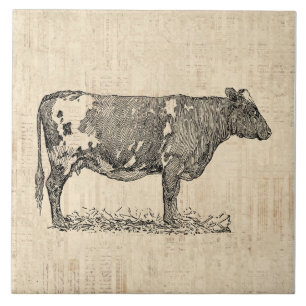 Ilustração de Vintage Cow Art com plano de fundo