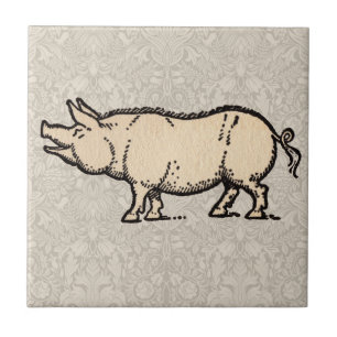 Ilustração de Vintagem de Porte de Porco Antiguo