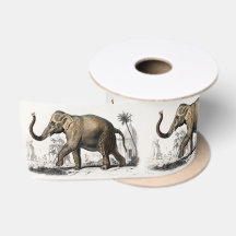 Ilustração do Elefante Asiático Vintage 1892