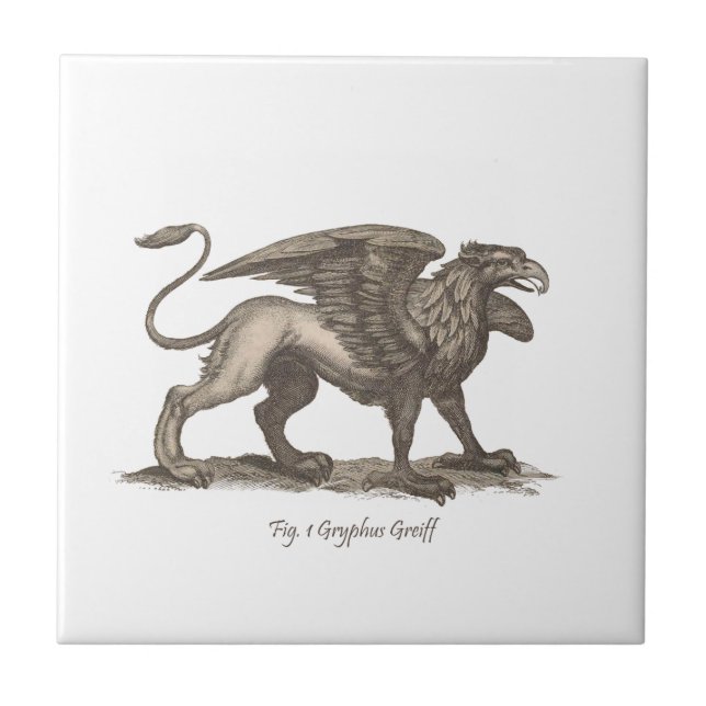 Ilustração do grifo do vintage (greiff do gryphus) (Frente)