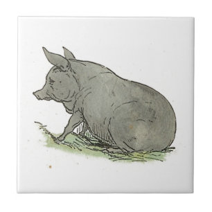 Ilustração do Livro Infantil de Pig Piggy Cinza