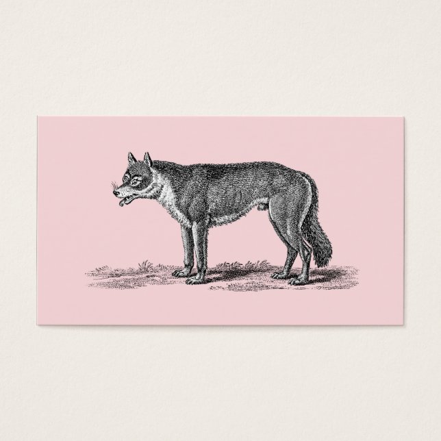 Ilustração do Lobo Vintage - Modelo dos Lobos dos  (Frente)