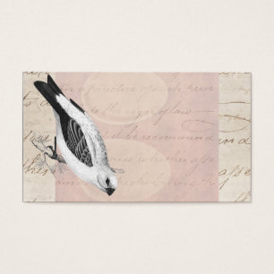 Ilustração do pássaro da canção de Grossbeak