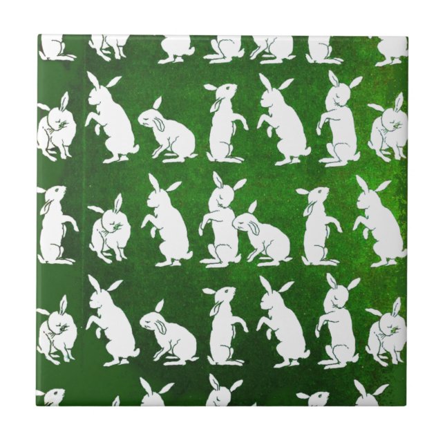 Ilustração do vintage dos coelhos no verde (Frente)