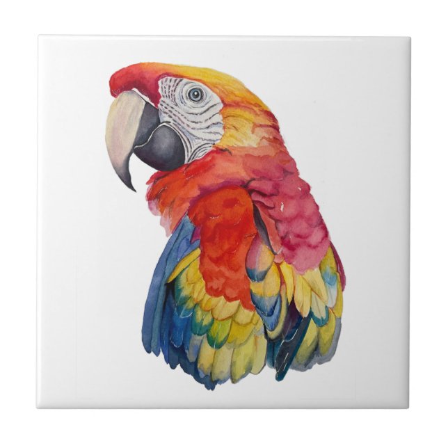 Ilustração em Aquarela de Papagaio Colorido (Frente)