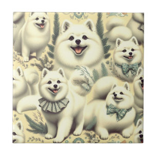 Ilustração Eskimo Retro-Americana