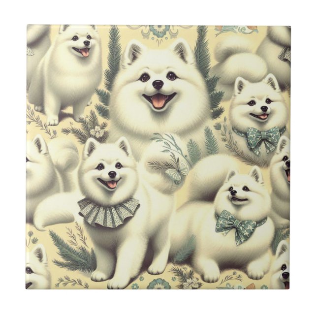 Ilustração Eskimo Retro-Americana (Frente)