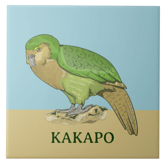 Ilustração Kakapo (Frente)