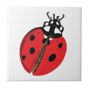 Ilustração Lady Bug