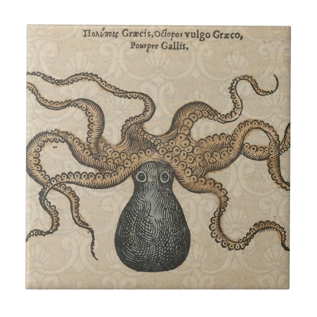 Ilustração Octopus Kraken Vintage (Frente)