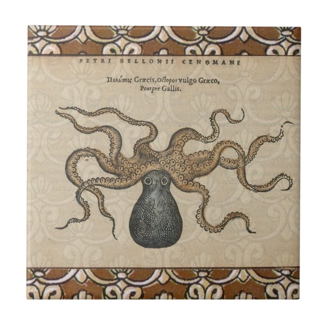 Ilustração Octopus Kraken Vintage (Frente)