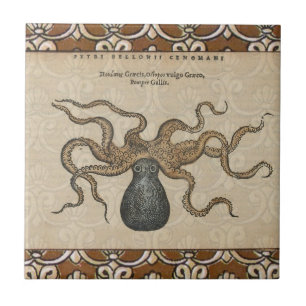 Ilustração Octopus Vintage Kraken
