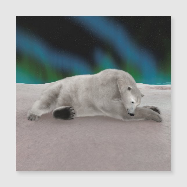 Ilustração Pacífica de Urso Polar na Natureza Árti (Frente)
