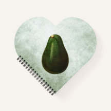 Ilustração Persea Avocado