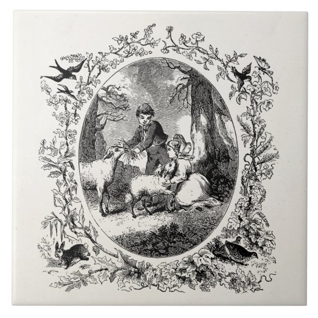 Ilustração personalizada carneiros de w das (Frente)