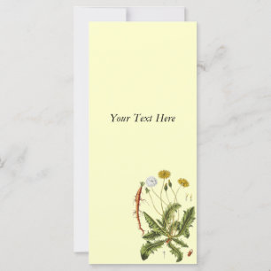 Ilustração Vintage Dandelion