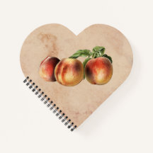 Ilustração Vintage de Pêssegos