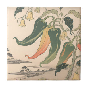 Ilustração Vintage de Pimenta