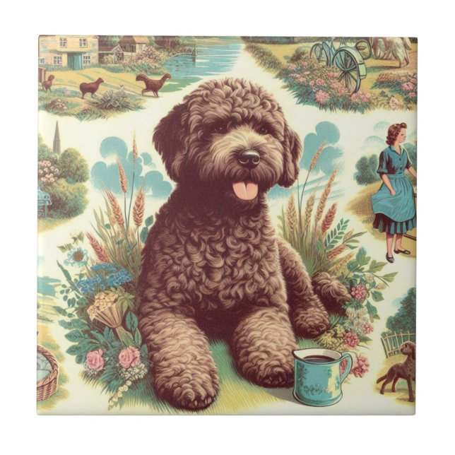 Ilustração Vintage Lagotto Romagnolo (Frente)