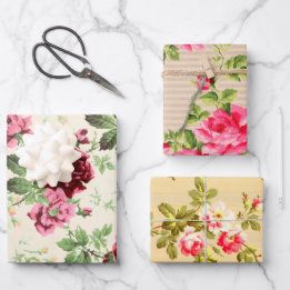 Ilustrações da safra de rosas em base neutra