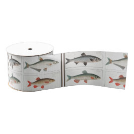 Ilustrações de Peixes Vintage