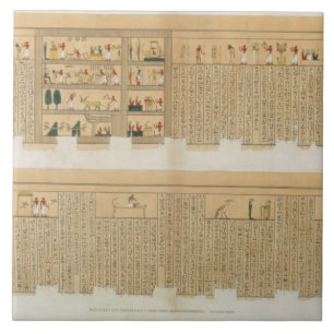 Ilustrações de um manuscrito de Pampus com