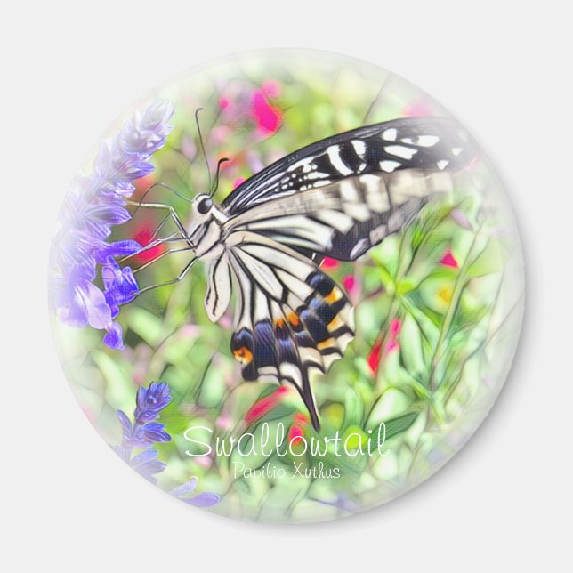 IMÃ ア ゲ ョ ウ マ グ ハ . (Frente)