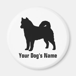 Imã ア Malamute do Alaska ラ ス カ ン ・ ラ マ