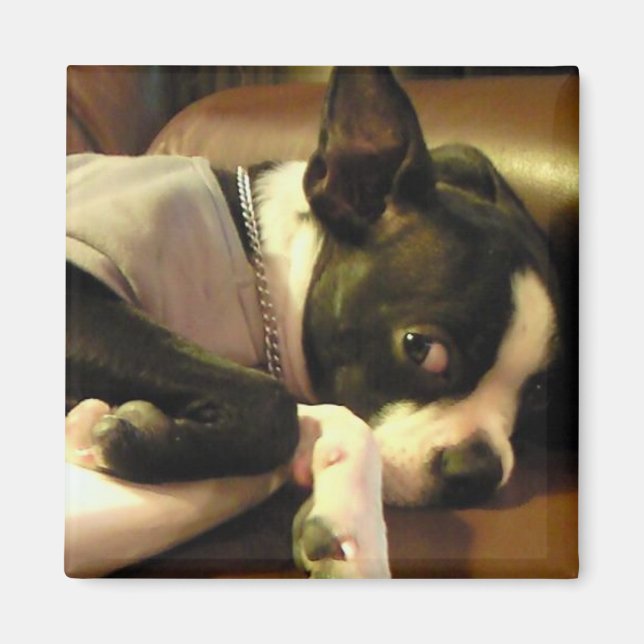 IMÃ ブチ　マグネット　角 (Frente)