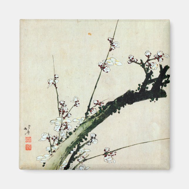 Imã 梅 花, 北 斎 Blossomas de ameixa, Hokusai, Ukiyo-e (Frente)