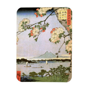Ímã 江戸の桜, flores de cerejeira do 広重 de Edo