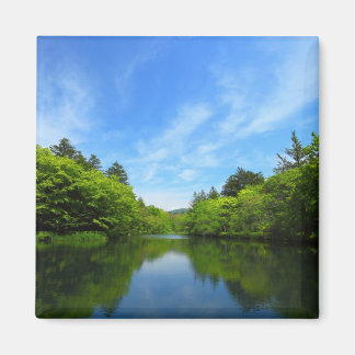 IMÃ 軽井沢・夏の雲場池